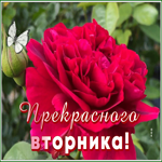 Postcard 1