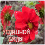 Postcard 1