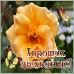 Postcard 1
