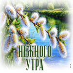 Picture абстрактная гиф-открытка, нежного утра