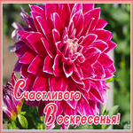 Открытка анимационная картинка с с воскресеньем