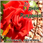 Открытка анимационная картинка с юбилеем жене