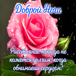 Postcard ароматная открытка желает спокойной ночи