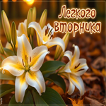 Postcard атмосферная открытка, лёгкого вторника!