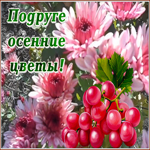 Postcard чудесная открытка подруге осенние цветы
