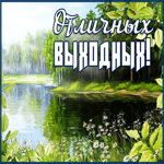 Картинка дивная открытка хороших выходных