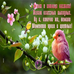 Picture драгоценная гиф-открытка, классной пятницы