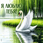 Picture душевная гиф-открытка, моя любовь к тебе бескрайня
