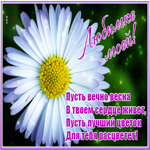 Открытка интересная открытка с ромашкой