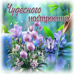 Picture искреннея гиф-открытка, чудесного настроения на весь день
