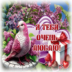 Postcard истинная гиф-открытка, я тебя люблю очень