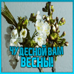 Открытка картинка чудесной весны