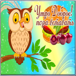Postcard картинка доброе утро пора вставать с птичкой