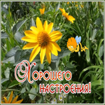 Открытка картинка хорошего настроения и всего доброго