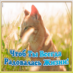 Картинка картинка подруге с надписями