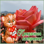 Postcard картинка прекрасного настроения с милым котиком