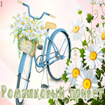 Картинка картинка ромашковый привет