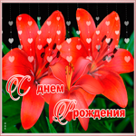 Картинка картинка с днем рождения с лилиями