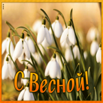 Картинка картинка с весной с ландышами