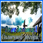 Picture картинка солнечной погоды в понедельник