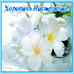 Открытка картинка цветочного настроения