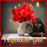 Picture картинка хорошего дня с букетом цветов и кошечкой