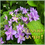 Postcard картинка желаю удачи с нежными цветами