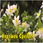 Картинка хорошей среды