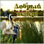 Открытка красивая картинка добрый вечер