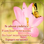 Картинка красивая картинка хорошего настроения