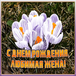 Картинка красивая картинка с днем рождения жене с поздравлением