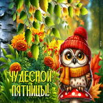 Postcard красивая открытка, пятница с вдохновением и теплом
