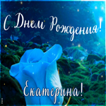 Postcard красивая открытка с днем рождения екатерина