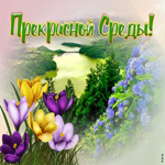 Открытка красивая открытка со средой