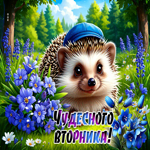 Postcard лучшая гиф-открытка, чудесного вторника
