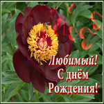 Картинка мерцающая открытка с днем рождения любимому