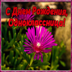 Картинка мерцающая открытка с днем рождения однокласснице