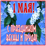 Картинка милая открытка 1 мая
