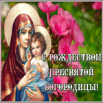 Открытка милая открытка рождество пресвятой богородицы