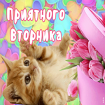 Открытка милая открытка с вторником