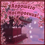 Открытка необычная картинка хорошего настроения