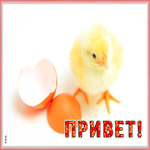 Открытка необычная открытка привет