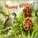 Картинка необыкновенная открытка другу
