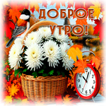 Postcard невесомая гиф-открытка, доброго осеннего утра