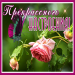 Открытка нежная картинка для настроения