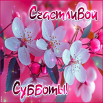 Picture нежная гиф-открытка, счастливой и приятной субботы