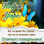 Postcard нежная открытка с добрым утром понедельника