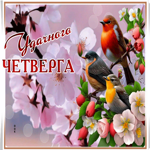 Picture нежная открытка с пожеланием удачного четверга