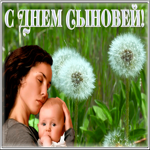 Картинка новая открытка день сыновей