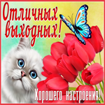 Открытка очаровательная открытка хороших выходных